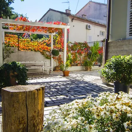 Martinis * Сплит