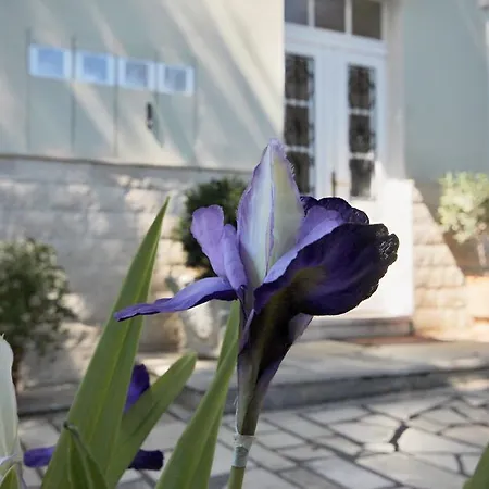 公寓 马提尼别墅公寓